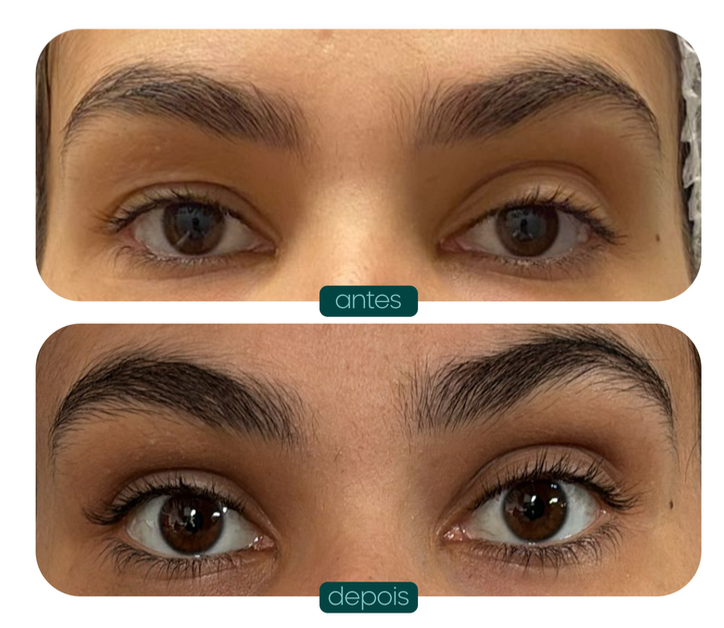 Captura de Tela 2025-06-04 às 16.13.39